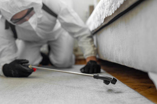 Professional Bed Bug Control technician working in New Braunfels, TX