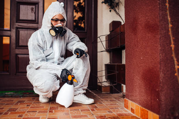 Reliable Bed Bug Control contractor in New Braunfels, TX by Nex Pest Control